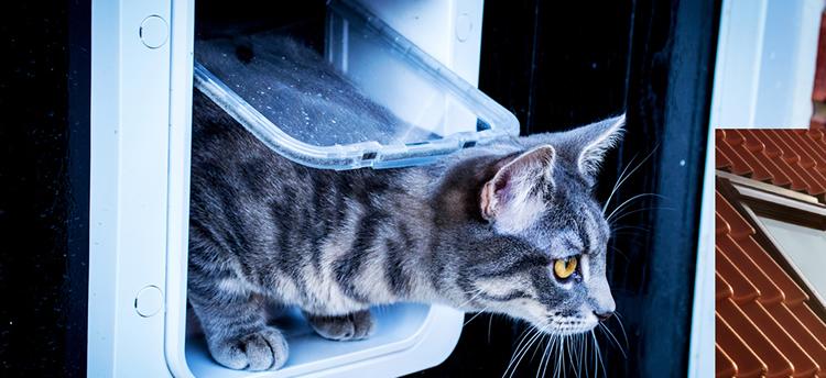 Moore Cat Flap Fitter